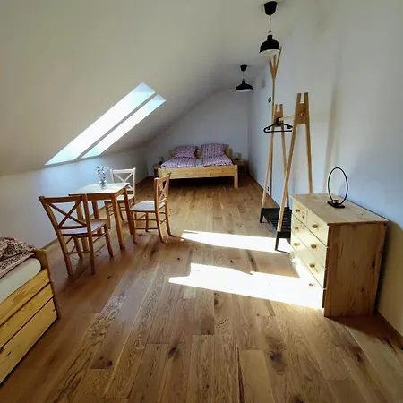 Stary Mlyn Guest house