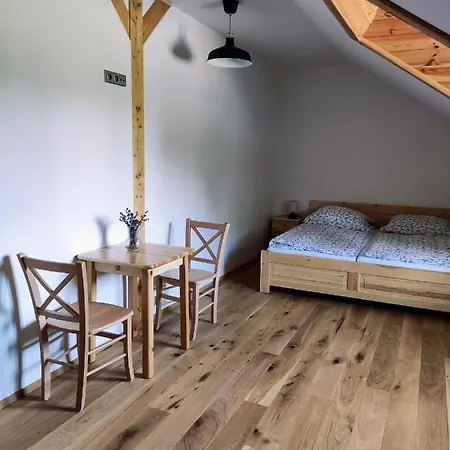 Stary Mlyn Guest house *