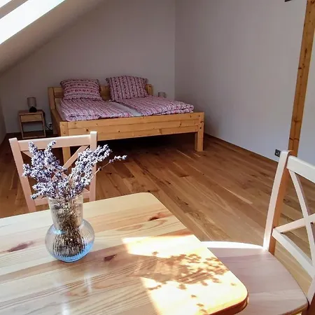 招待所 Stary Mlyn