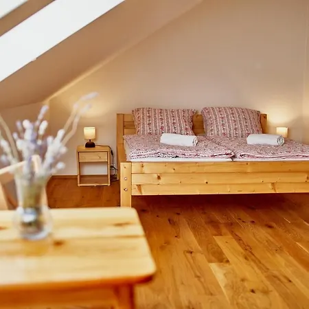 Guest house Stary Mlyn